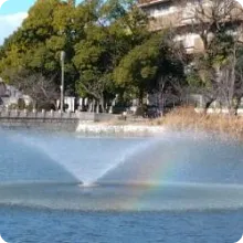 ALOHA保育園 帝塚山アルバム(5)